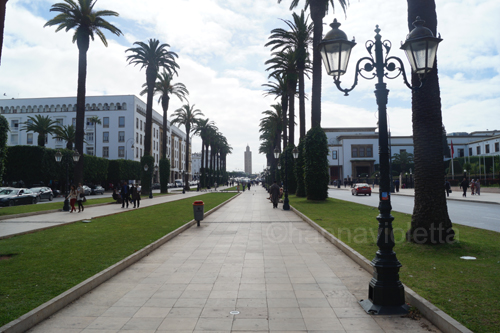 boulevard with palm trees: Avenue Mohammed V.